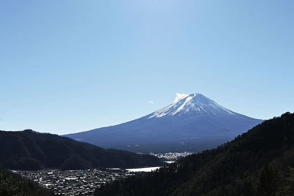 新年のご挨拶